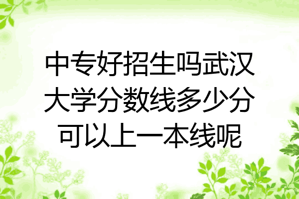 中专好招生吗武汉大学分数线多少分可以上一本线呢