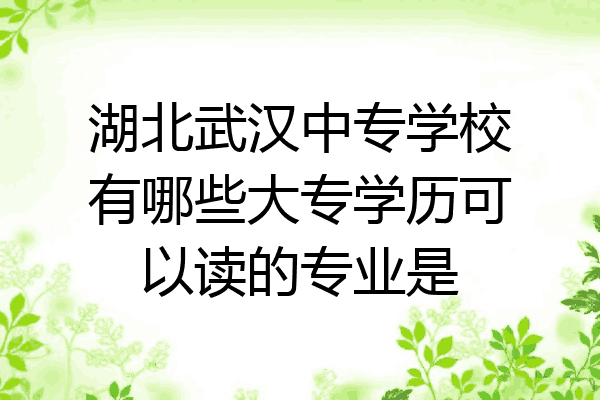 湖北武汉中专学校有哪些大专学历可以读的专业是