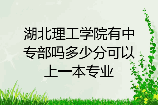 湖北理工学院有中专部吗多少分可以上一本专业