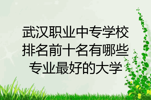 武汉职业中专学校排名前十名有哪些专业最好的大学