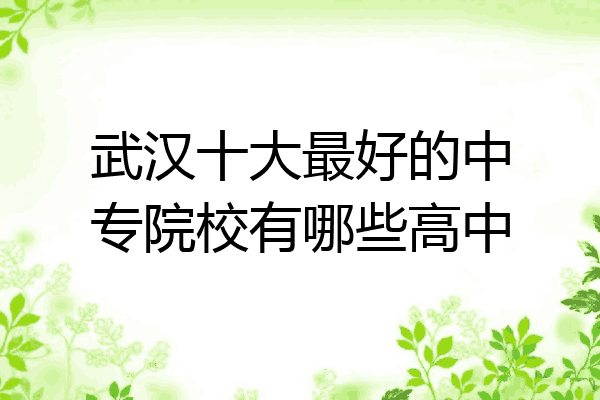 武汉十大最好的中专院校有哪些高中