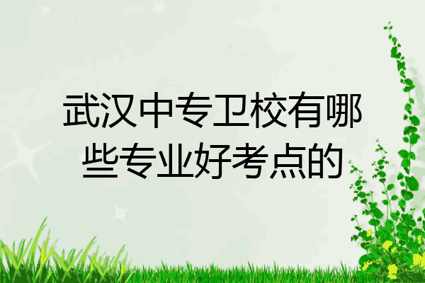 武汉中专卫校有哪些专业好考点的
