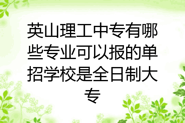 英山理工中专有哪些专业可以报的单招学校是全日制大专