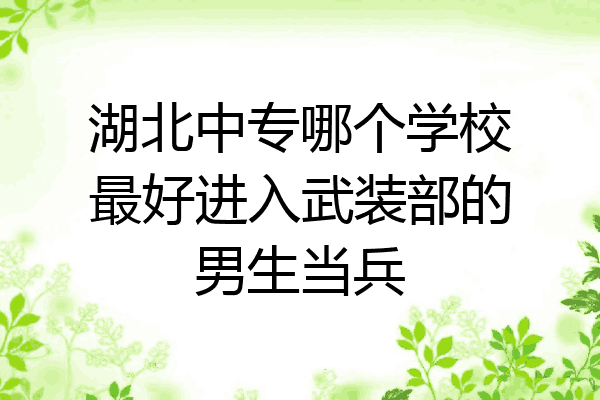 湖北中专哪个学校最好进入武装部的男生当兵