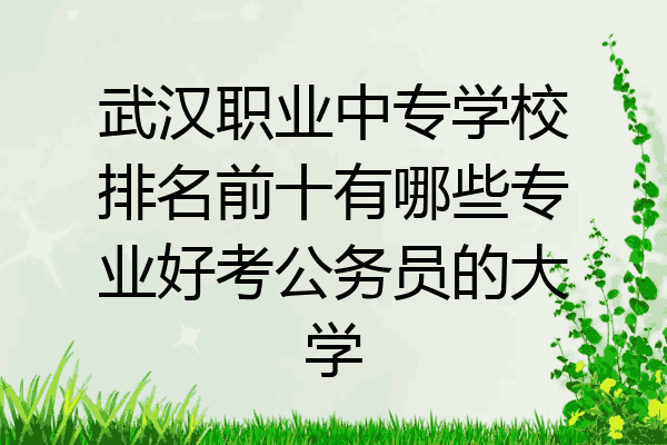 武汉职业中专学校排名前十有哪些专业好考公务员的大学