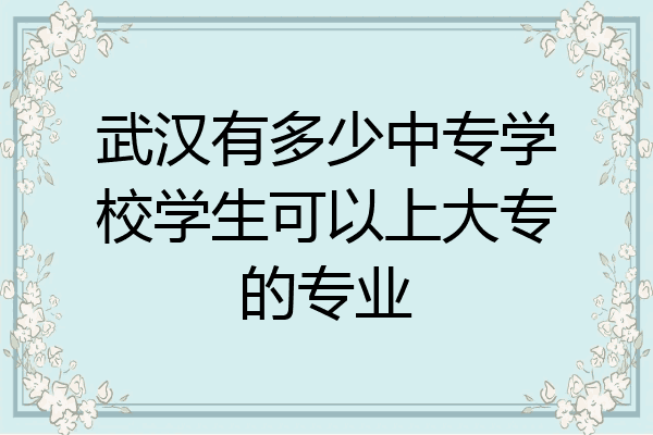 武汉有多少中专学校学生可以上大专的专业