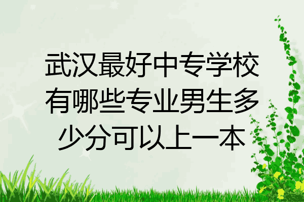 武汉最好中专学校有哪些专业男生多少分可以上一本