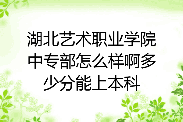湖北艺术职业学院中专部怎么样啊多少分能上本科