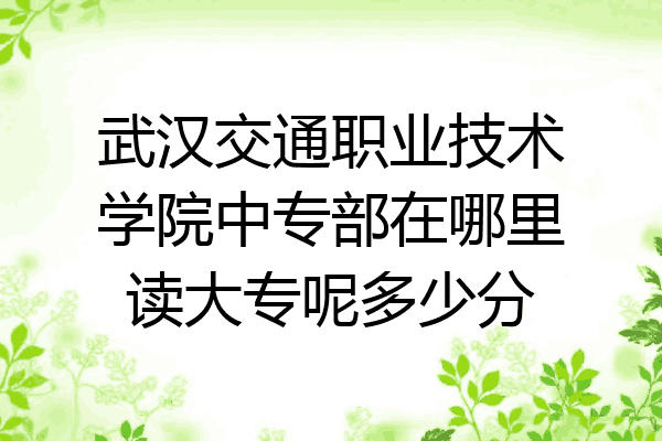 武汉交通职业技术学院中专部在哪里读大专呢多少分