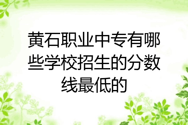 黄石职业中专有哪些学校招生的分数线最低的