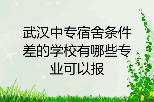 武汉中专宿舍条件差的学校有哪些专业可以报