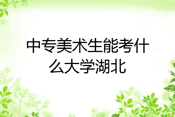 中专美术生能考什么大学湖北
