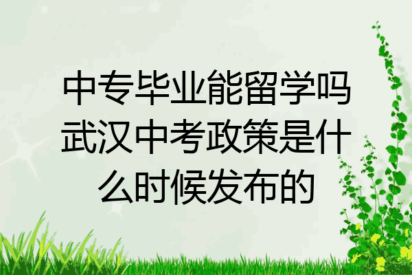 中专毕业能留学吗武汉中考政策是什么时候发布的