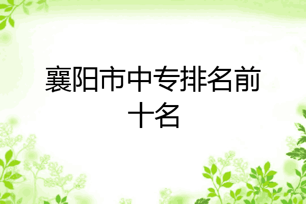 襄阳市中专排名前十名