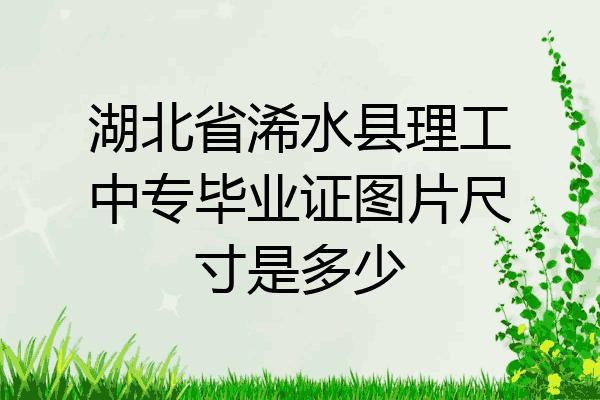湖北省浠水县理工中专毕业证图片尺寸是多少