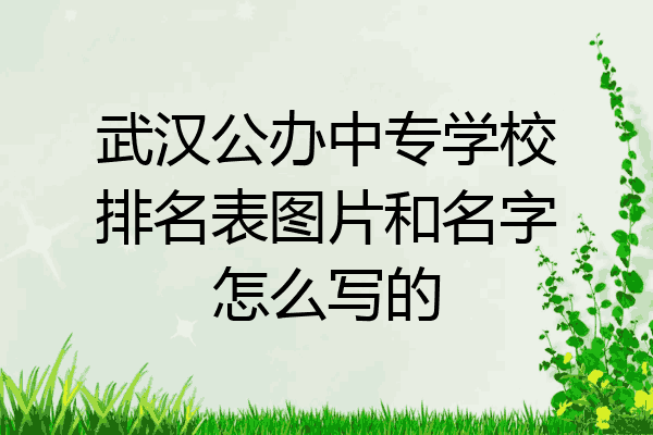武汉公办中专学校排名表图片和名字怎么写的