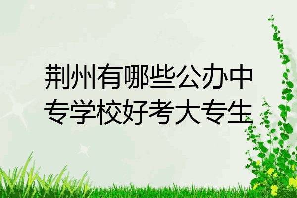 荆州有哪些公办中专学校好考大专生