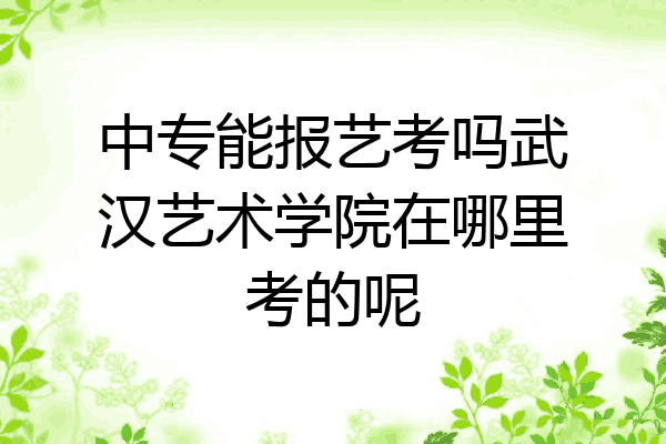 中专能报艺考吗武汉艺术学院在哪里考的呢