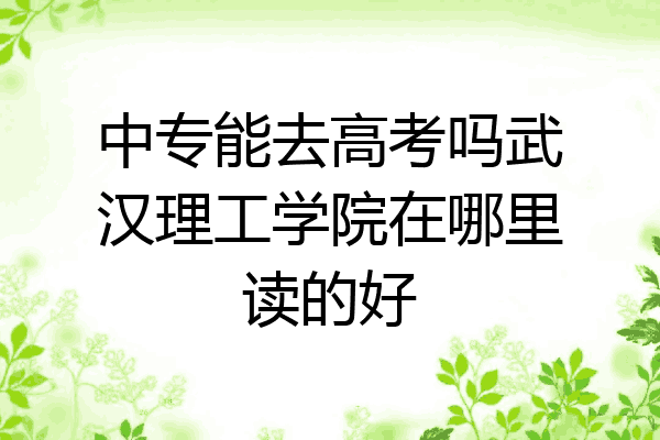 中专能去高考吗武汉理工学院在哪里读的好