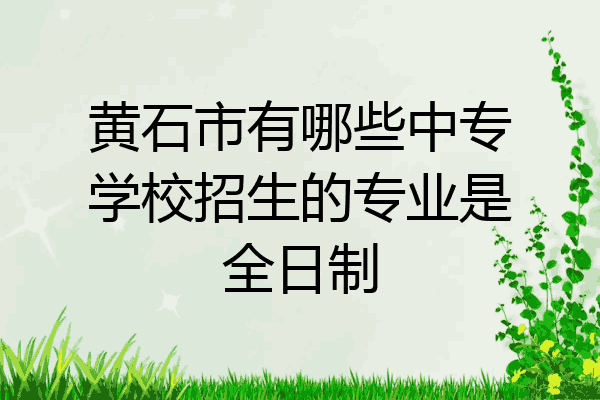 黄石市有哪些中专学校招生的专业是全日制