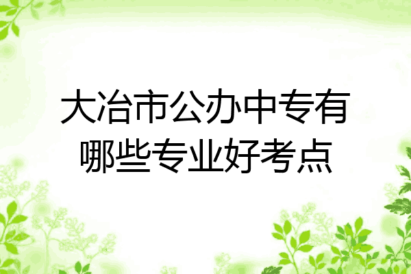大冶市公办中专有哪些专业好考点
