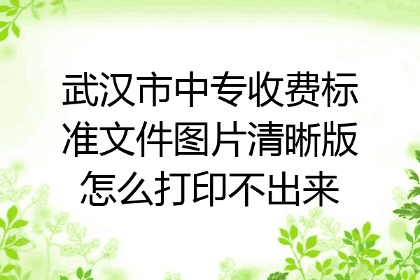 武汉市中专收费标准文件图片清晰版怎么打印不出来
