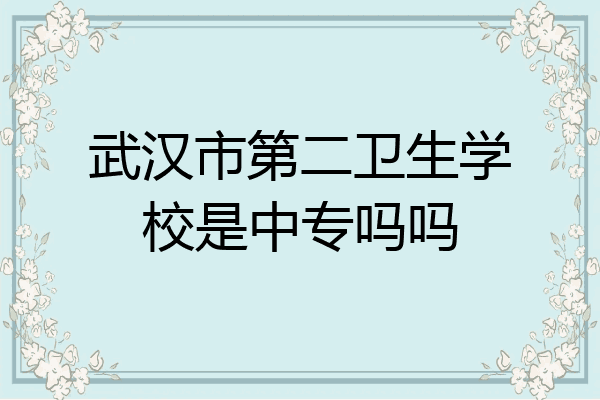 武汉市第二卫生学校是中专吗吗