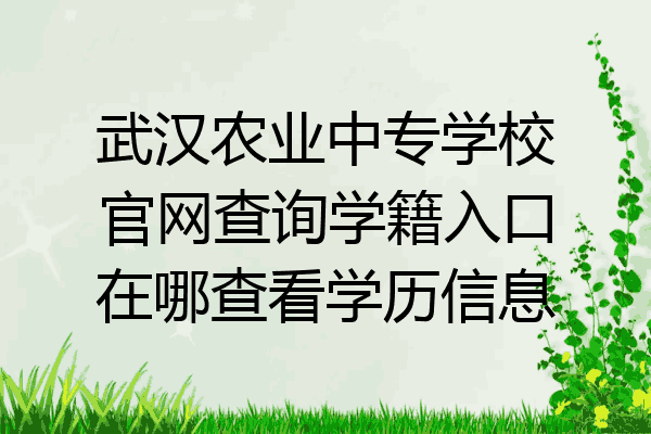 武汉农业中专学校官网查询学籍入口在哪查看学历信息
