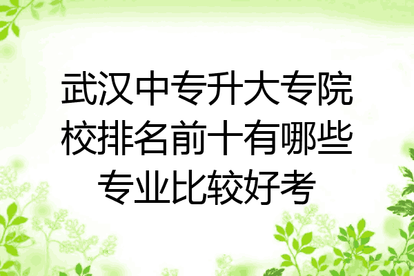 武汉中专升大专院校排名前十有哪些专业比较好考