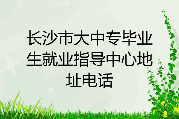 长沙市大中专毕业生就业指导中心地址电话
