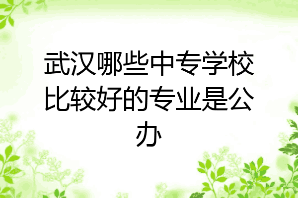 武汉哪些中专学校比较好的专业是公办