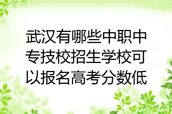武汉有哪些中职中专技校招生学校可以报名高考分数低
