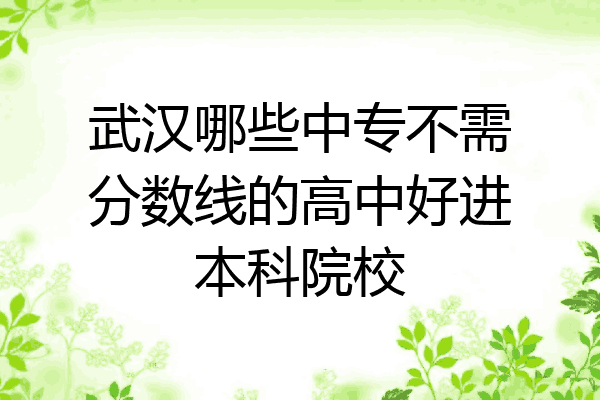 武汉哪些中专不需分数线的高中好进本科院校