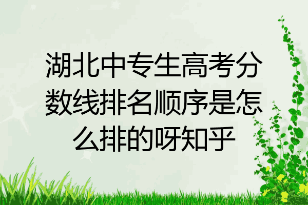 湖北中专生高考分数线排名顺序是怎么排的呀知乎