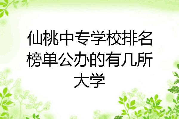 仙桃中专学校排名榜单公办的有几所大学