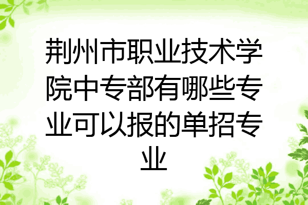 荆州市职业技术学院中专部有哪些专业可以报的单招专业