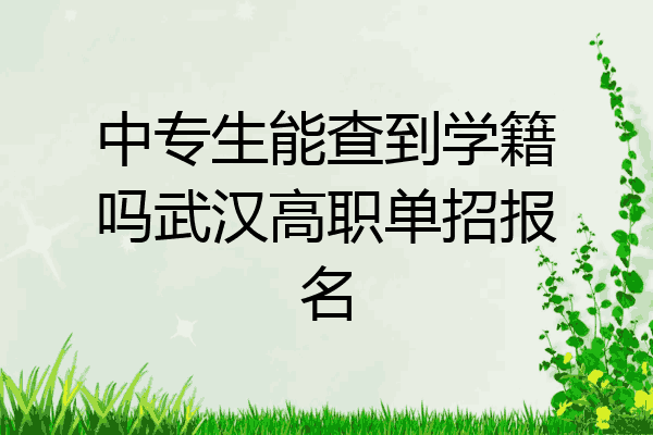 中专生能查到学籍吗武汉高职单招报名