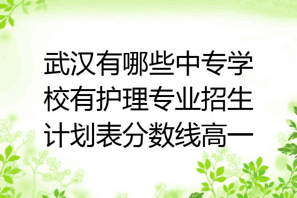 武汉有哪些中专学校有护理专业招生计划表分数线高一