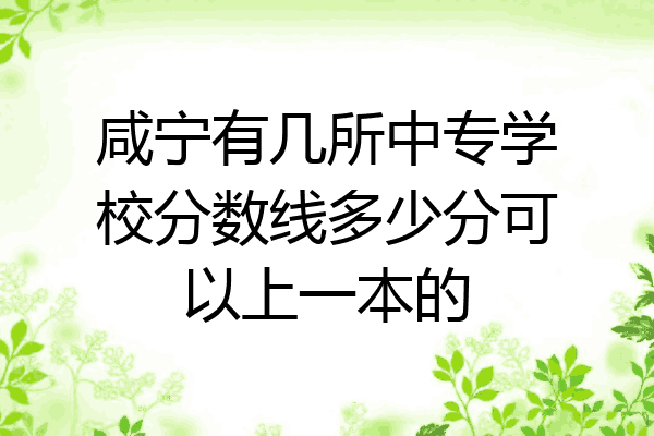 咸宁有几所中专学校分数线多少分可以上一本的