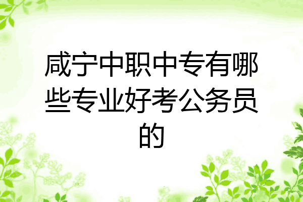 咸宁中职中专有哪些专业好考公务员的