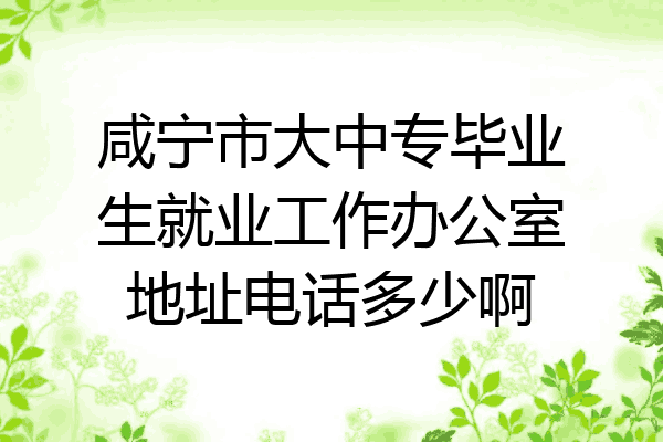 咸宁市大中专毕业生就业工作办公室地址电话多少啊