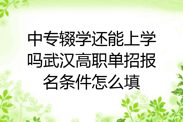 中专辍学还能上学吗武汉高职单招报名条件怎么填
