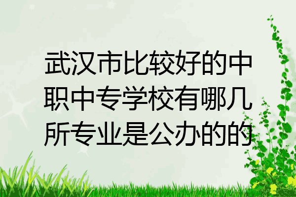 武汉市比较好的中职中专学校有哪几所专业是公办的的