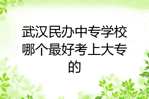 武汉民办中专学校哪个最好考上大专的