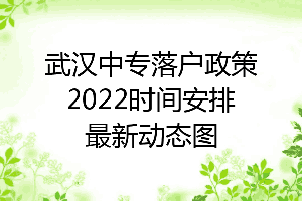 武汉中专落户政策2022时间安排最新动态图