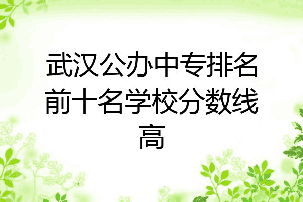 武汉公办中专排名前十名学校分数线高