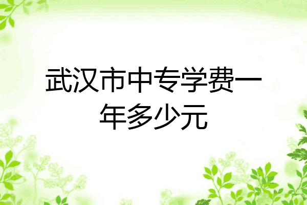 武汉市中专学费一年多少元