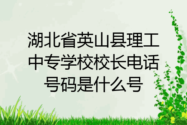 湖北省英山县理工中专学校校长电话号码是什么号