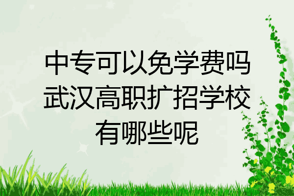 中专可以免学费吗武汉高职扩招学校有哪些呢