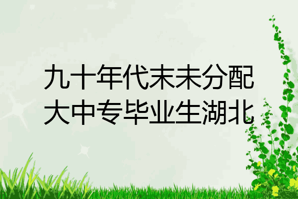 九十年代末未分配大中专毕业生湖北